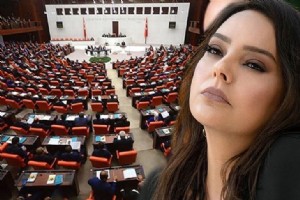 MECLS’TE EBRU GNDE’L VP TARTIMASI