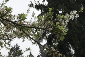 METEOROLOJ’DEN BU HAFTA N SON DAKKA UYARISI