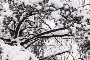 METEOROLOJ’DEN ANKARA’YA YOUN KAR YAII UYARISI