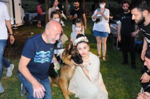 PET FESTVAL’NE HAYVANSEVERLERDEN BYK LG