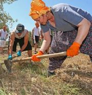 TARLADA BR SULTAN! VAHDE PERN ZMR’DE TARIM L YAPTI